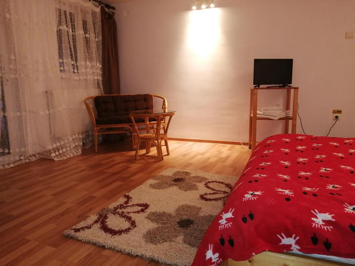 ホテル Casa Zura Buşteni エクステリア 写真