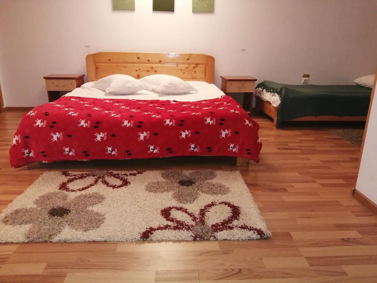 ホテル Casa Zura Buşteni エクステリア 写真