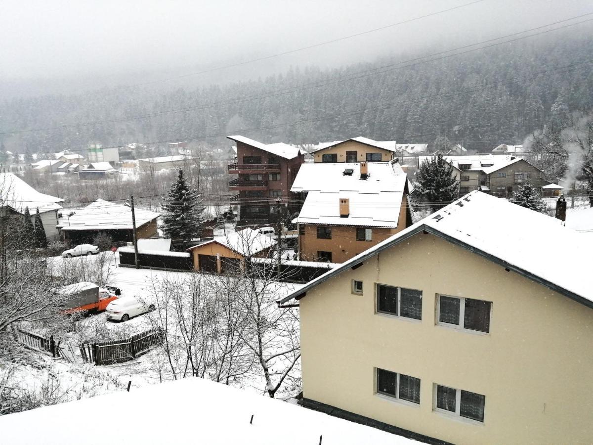 ホテル Casa Zura Buşteni エクステリア 写真