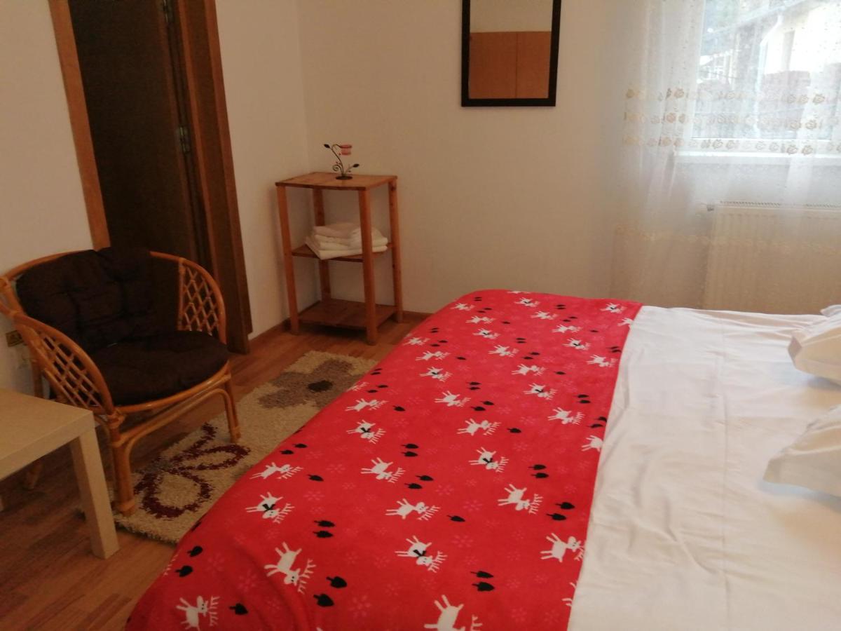 ホテル Casa Zura Buşteni エクステリア 写真