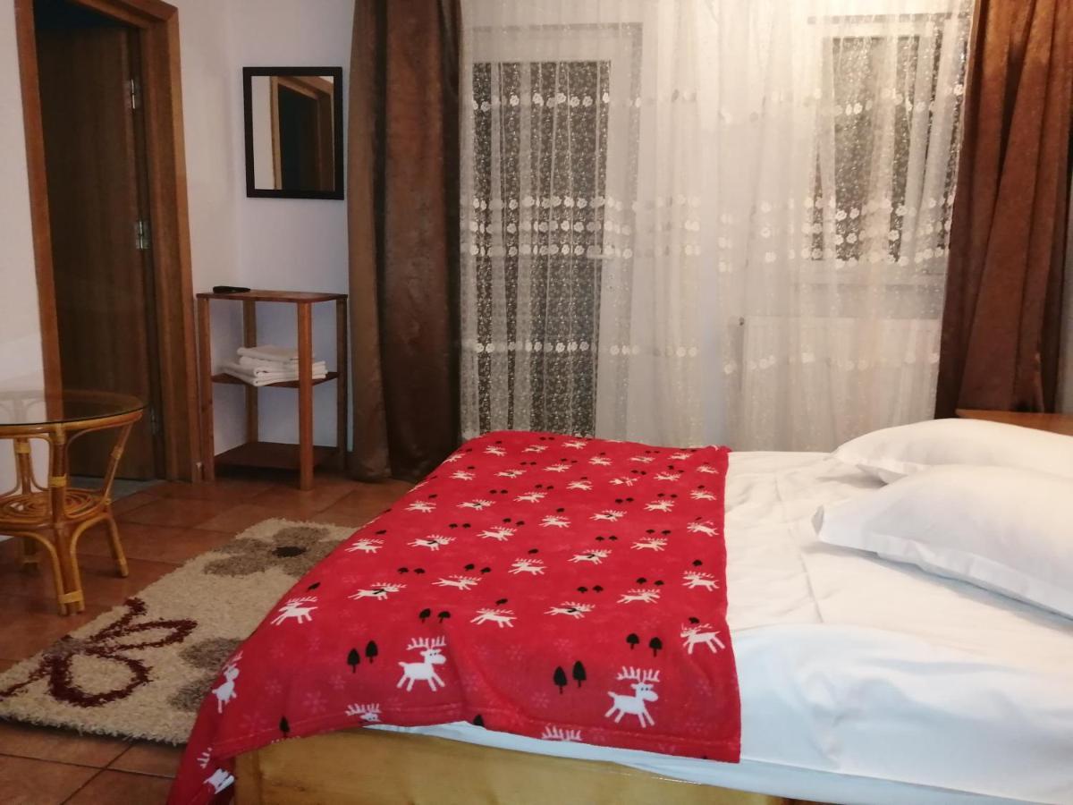 ホテル Casa Zura Buşteni エクステリア 写真