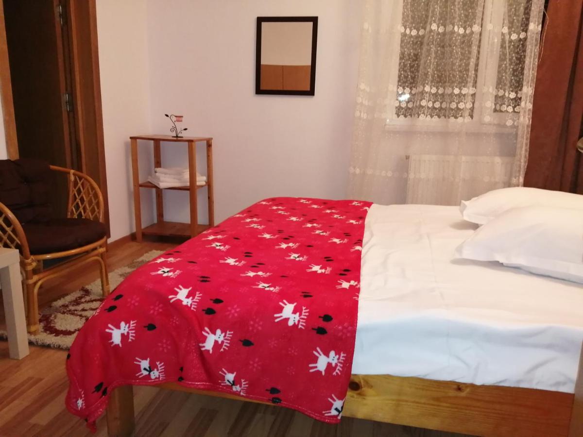 ホテル Casa Zura Buşteni エクステリア 写真