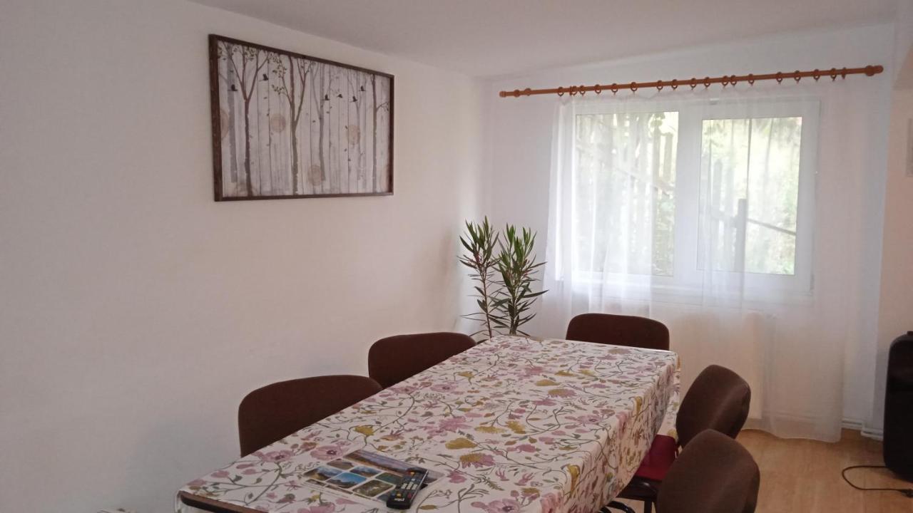 ホテル Casa Zura Buşteni エクステリア 写真