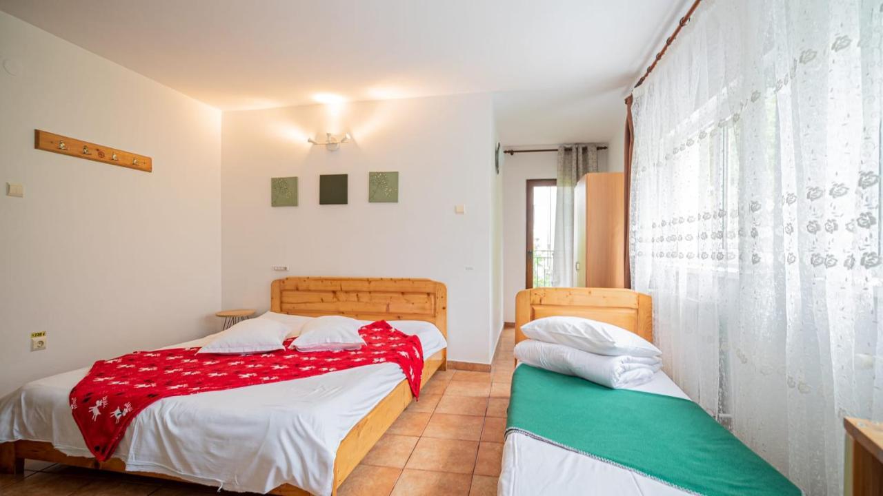ホテル Casa Zura Buşteni エクステリア 写真
