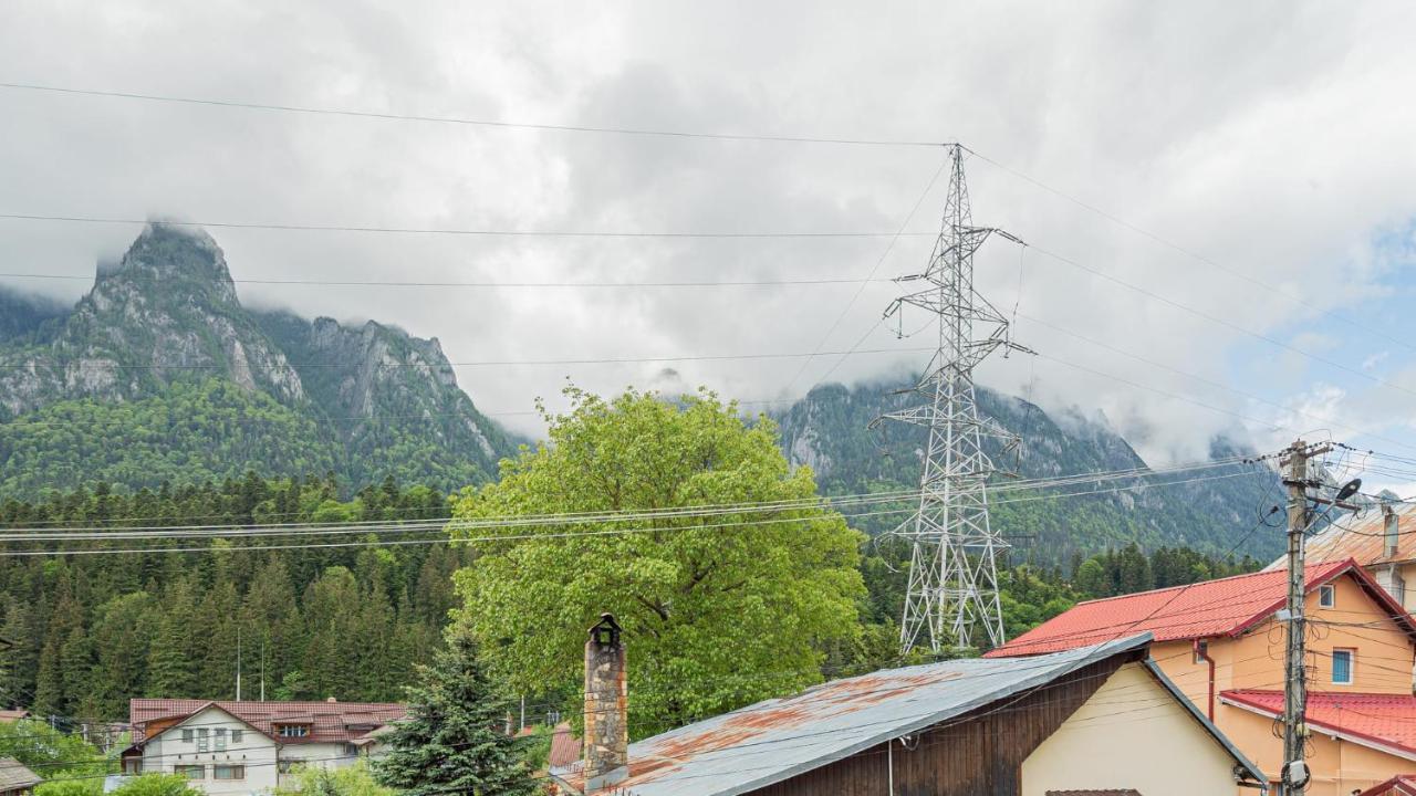ホテル Casa Zura Buşteni エクステリア 写真