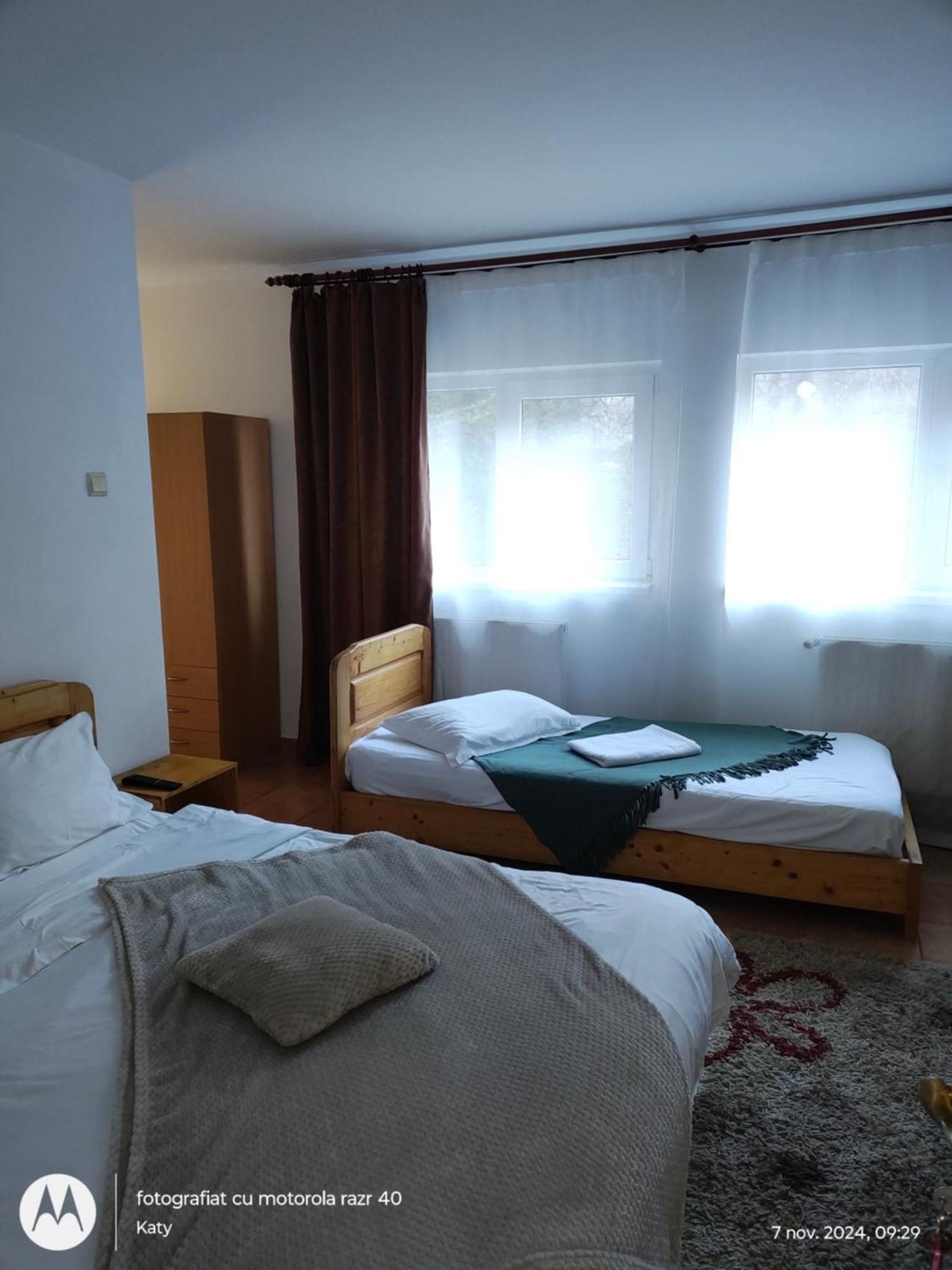 ホテル Casa Zura Buşteni エクステリア 写真