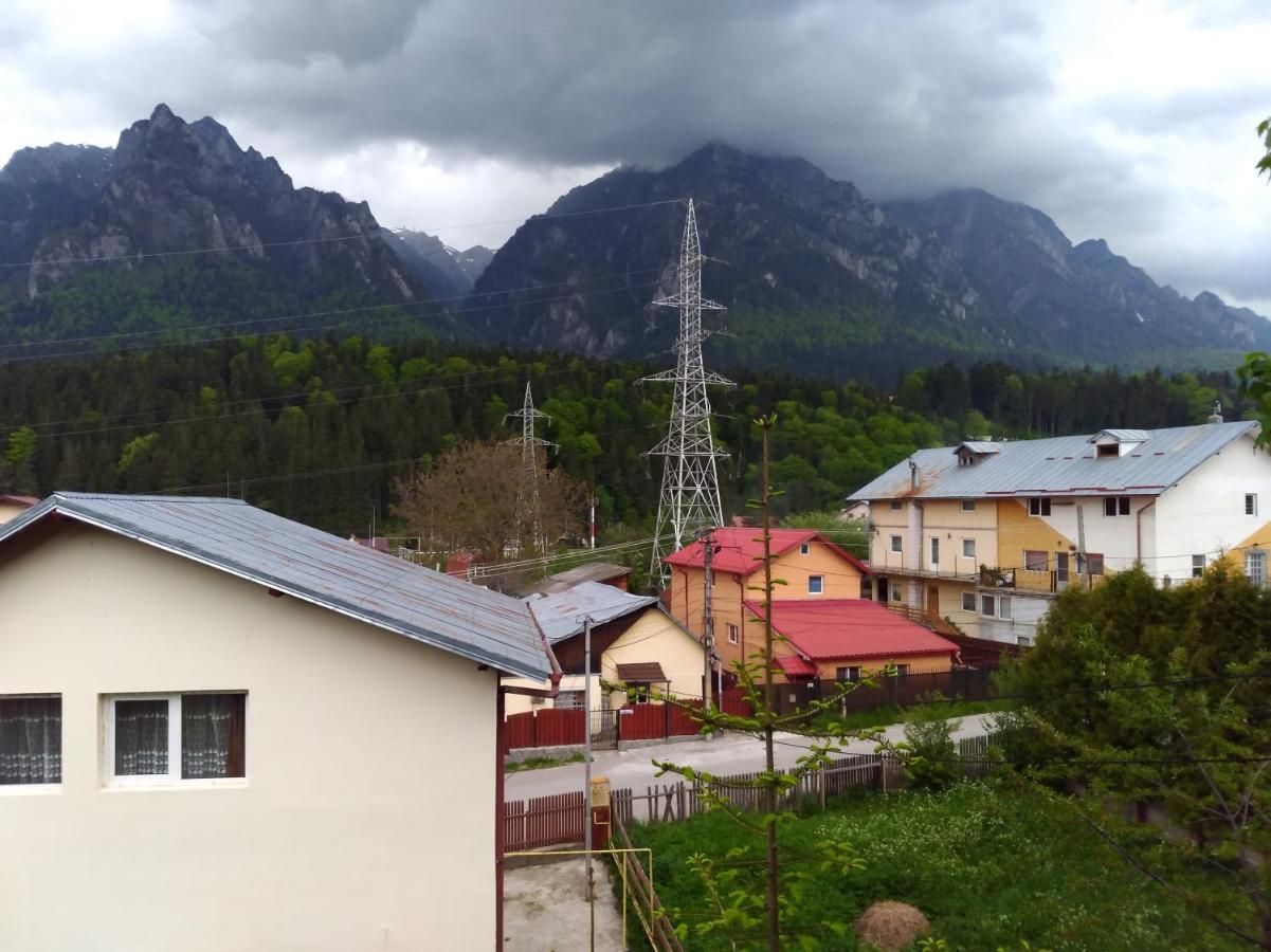 ホテル Casa Zura Buşteni エクステリア 写真