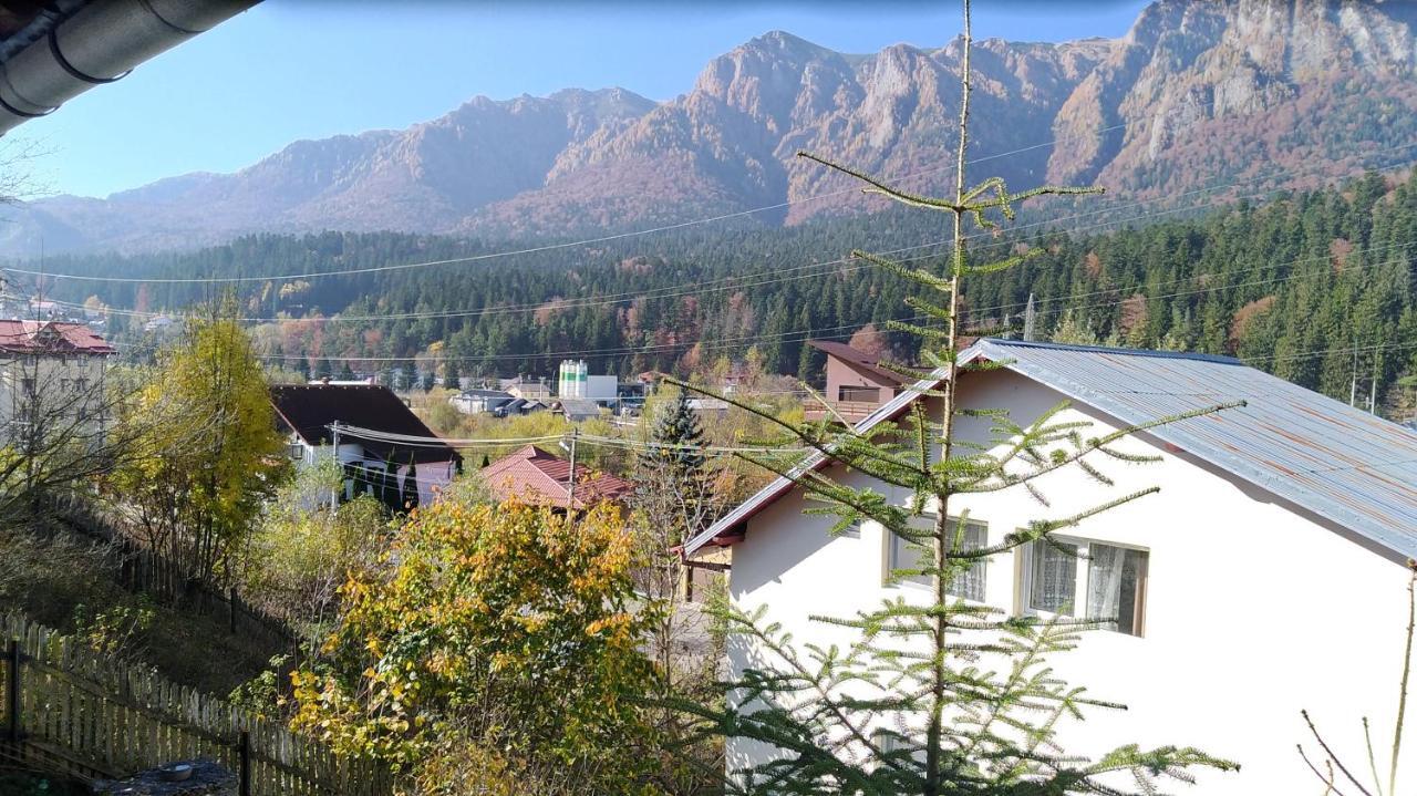 ホテル Casa Zura Buşteni エクステリア 写真